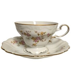 Johann Haviland porcelain tea cup and saucer from the Michele collection